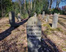 Fietstocht Oranjewoud en Oudeschoot