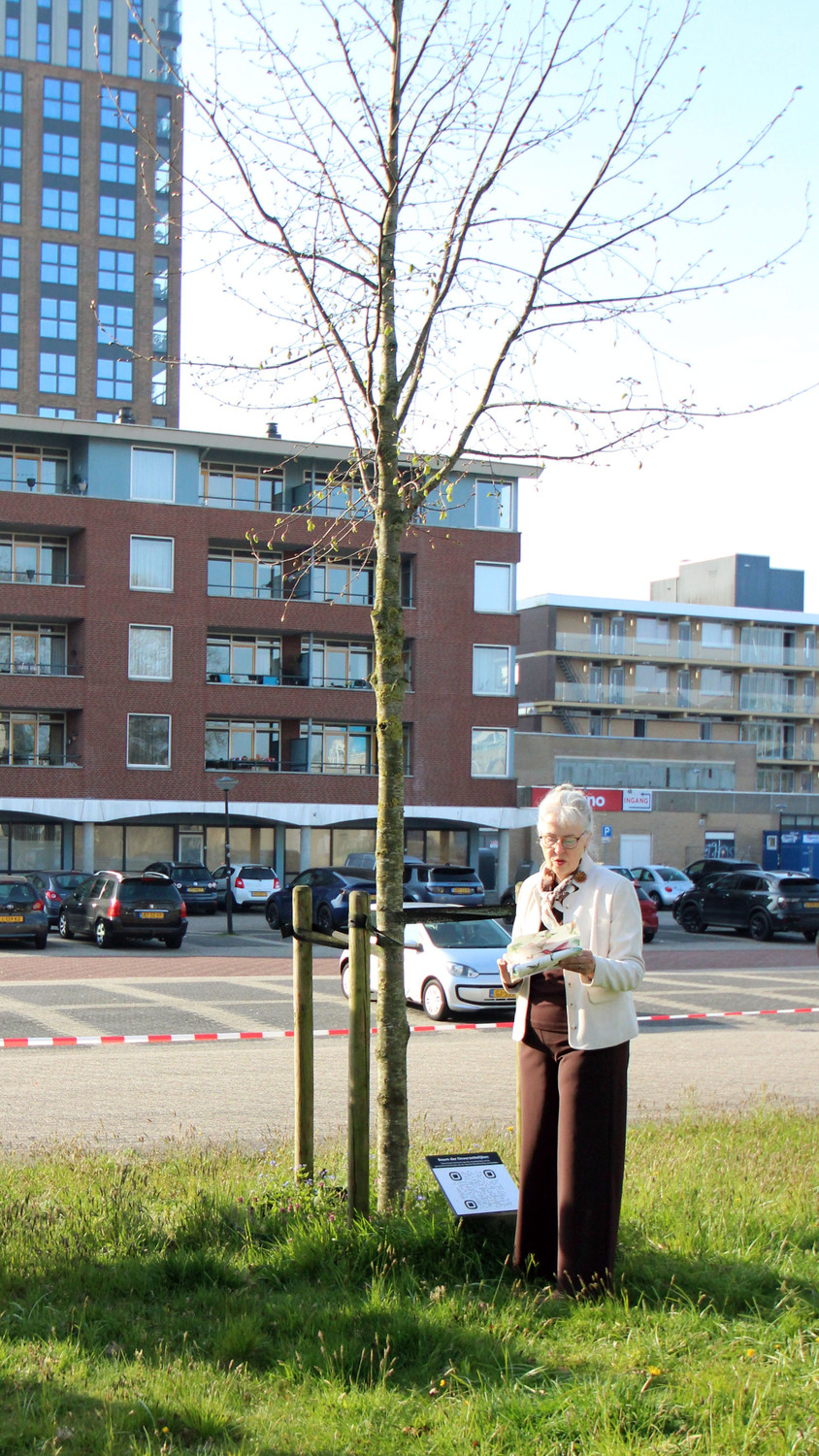herdenking bij verzetsboom heerenveen 4 foto fokke van asperen